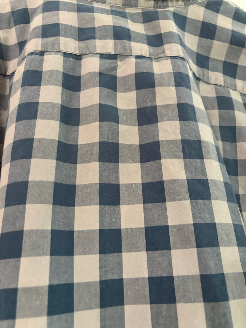 J. Crew Men's Blue Check Button-Down Shirt
